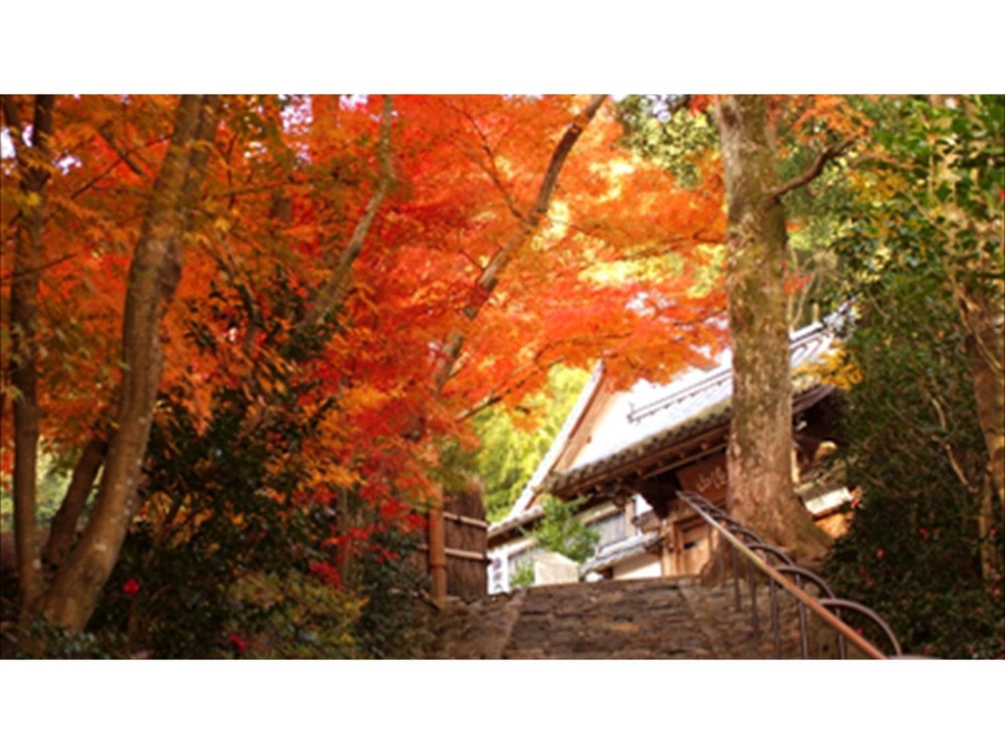 River Side Arashiyama - Vacation 86224v Hotel *