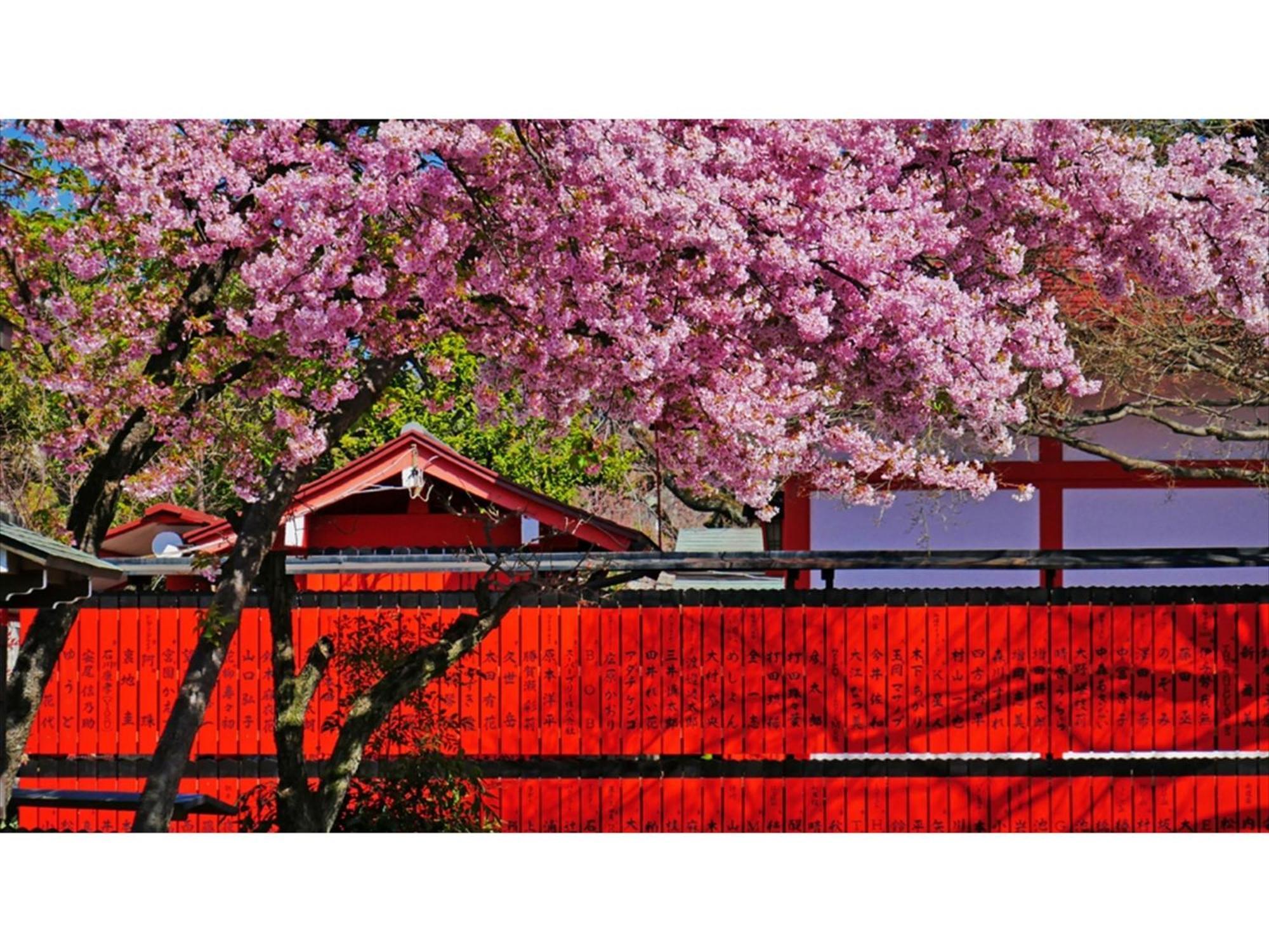 River Side Arashiyama - Vacation 86224v