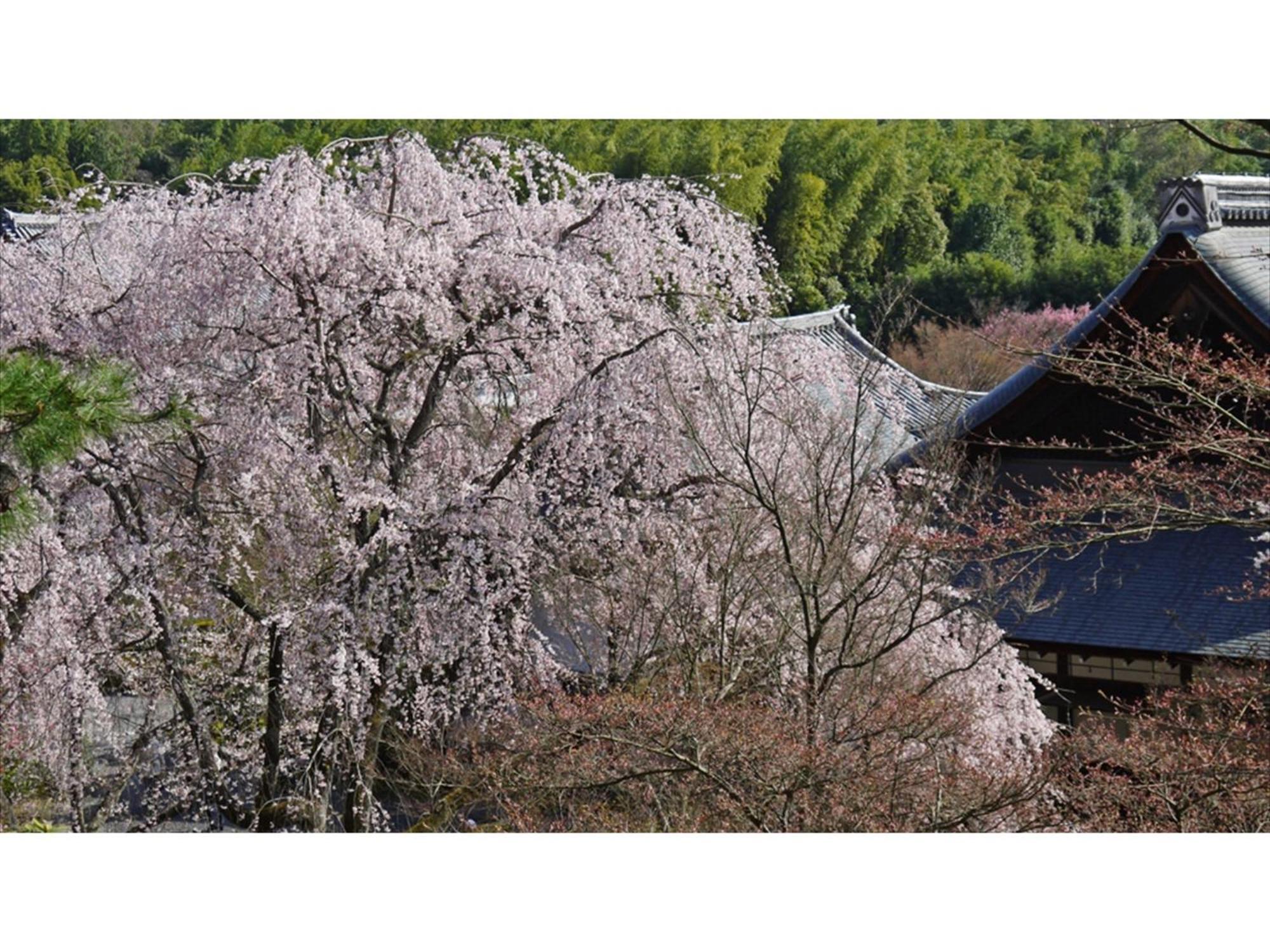 Hotel River Side Arashiyama - Vacation 86224v Kyoto